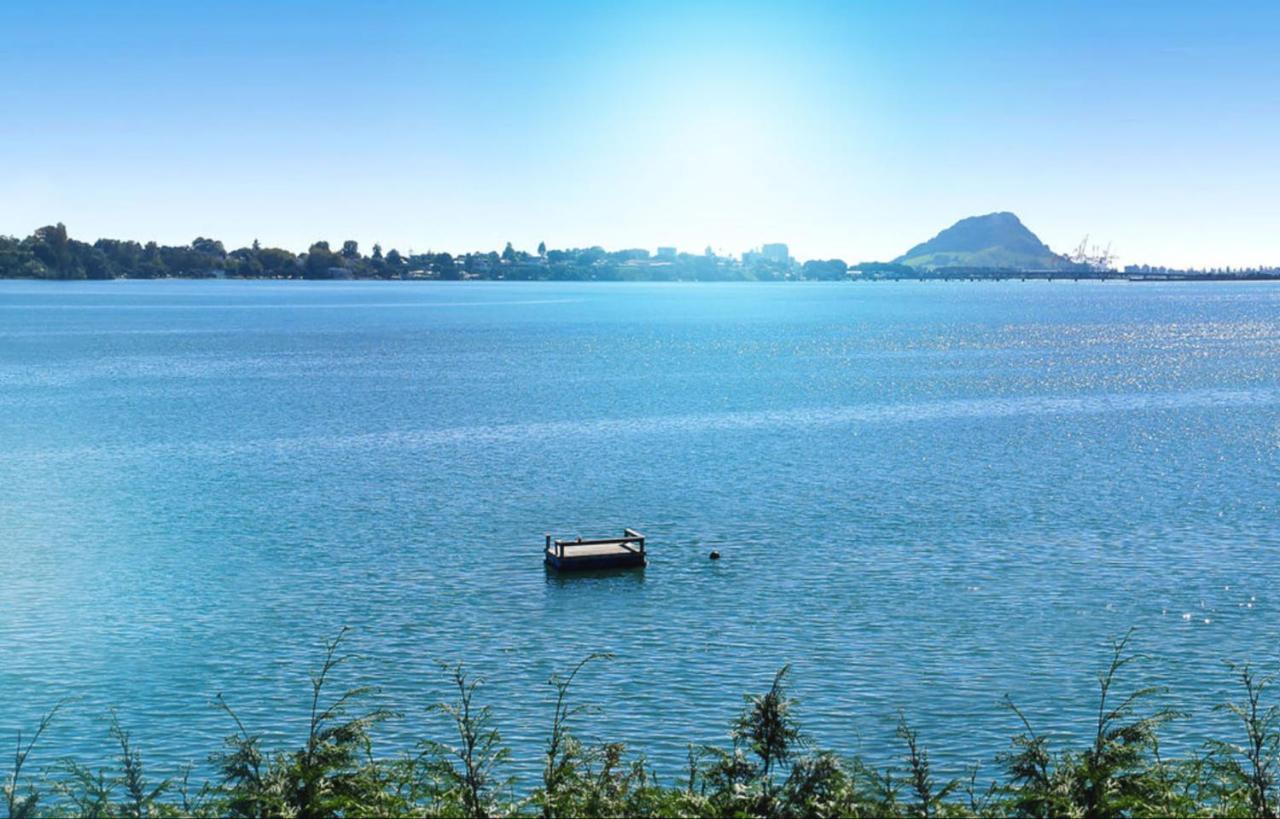 Apartment Near The Water Tauranga Exterior foto
